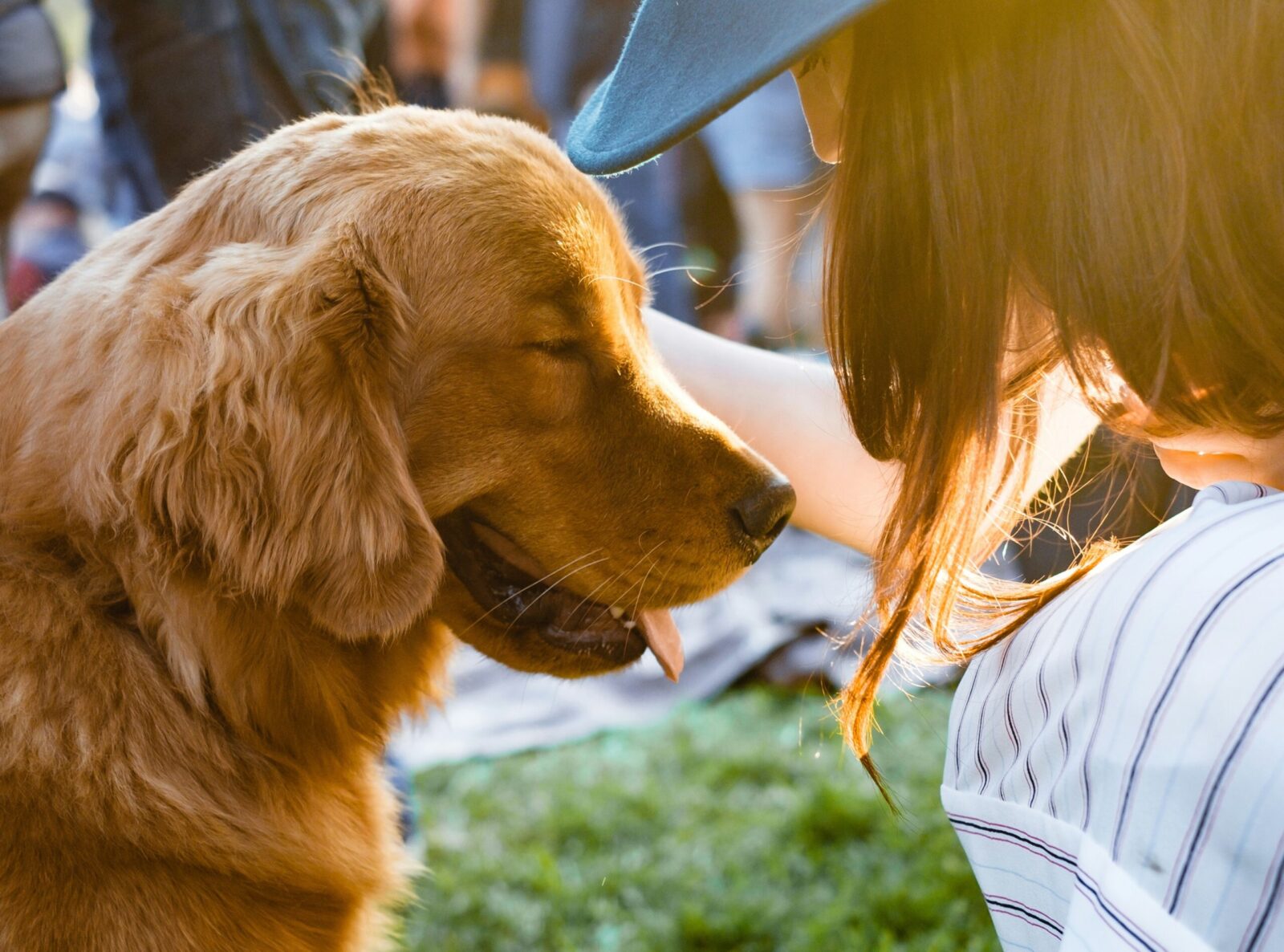 Feel Happier Every Day: The Best Pets for Boosting Your Mental Health